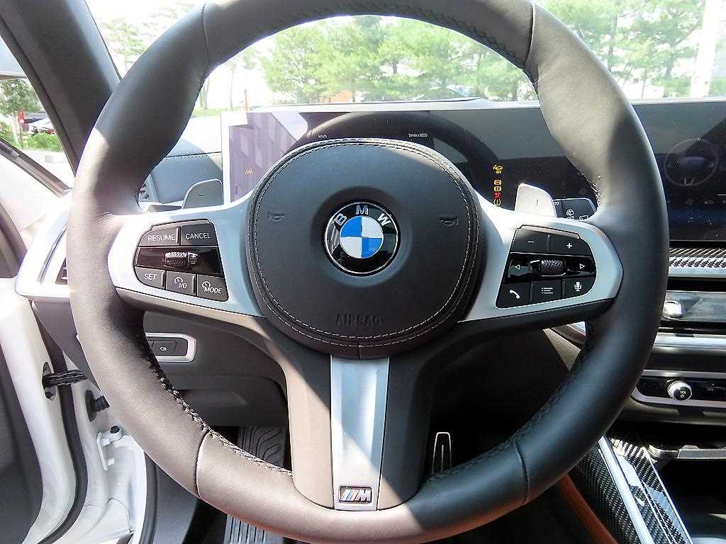 BMW X7 - Vista 8