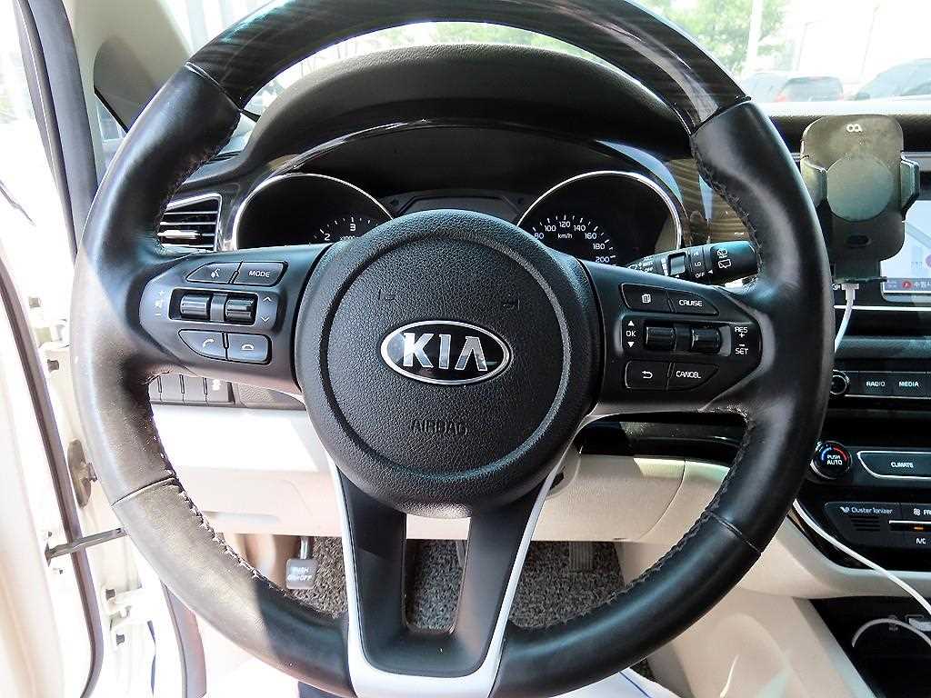KIA Carnival - Vista 8