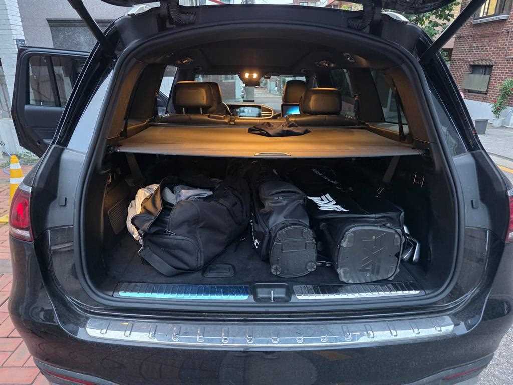 Mercedes Benz GLS Class - Vista 8