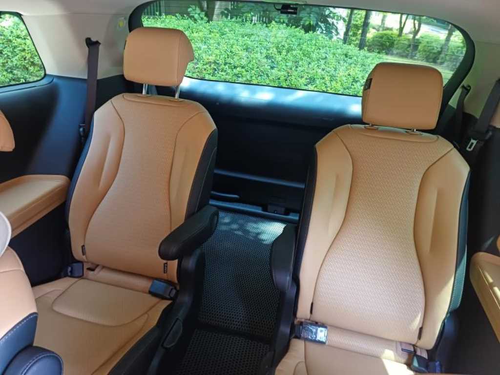 KIA Carnival - Vista 10