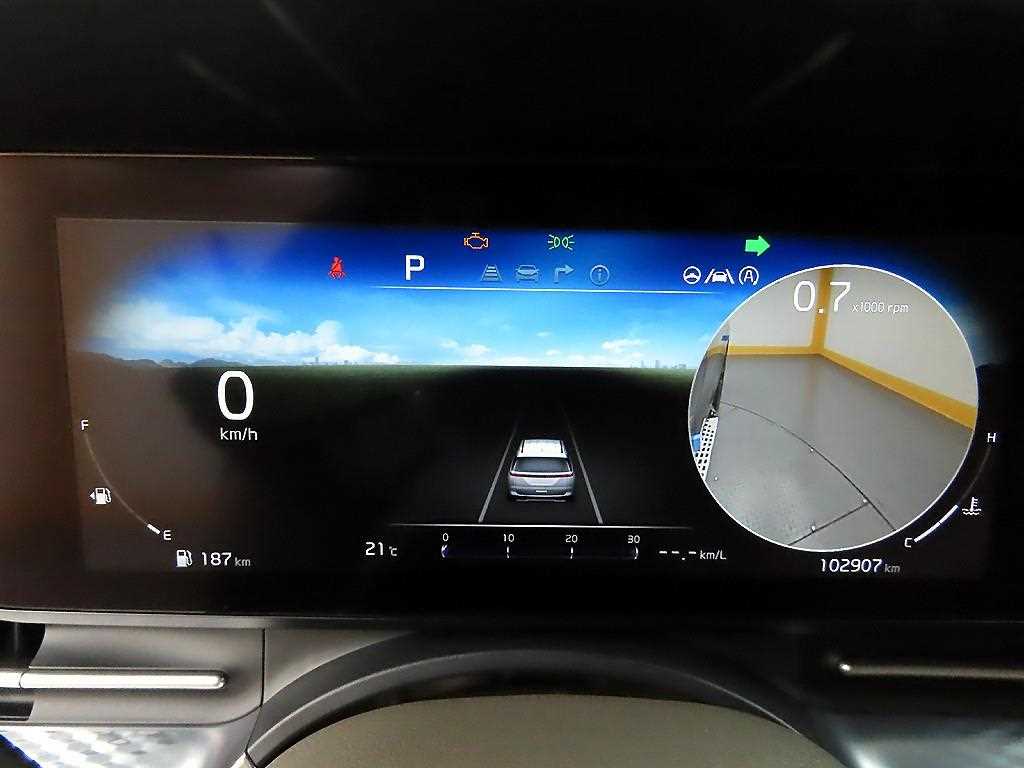 KIA Carnival - Vista 8
