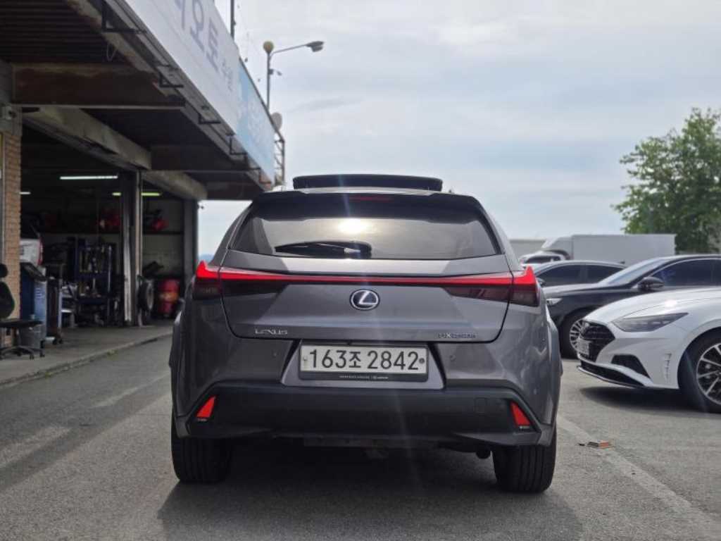 Lexus UX - Vista 6