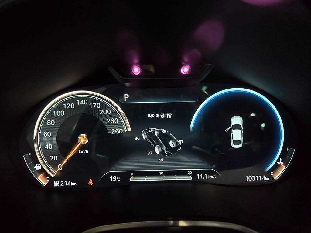 Genesis G80 - Vista 9