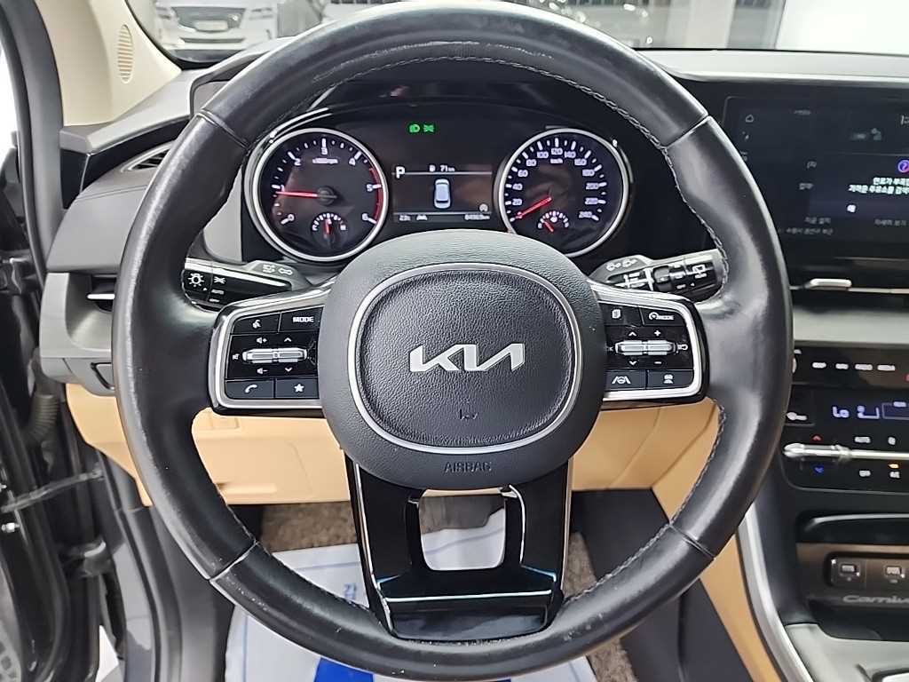 KIA Carnival - Vista 9