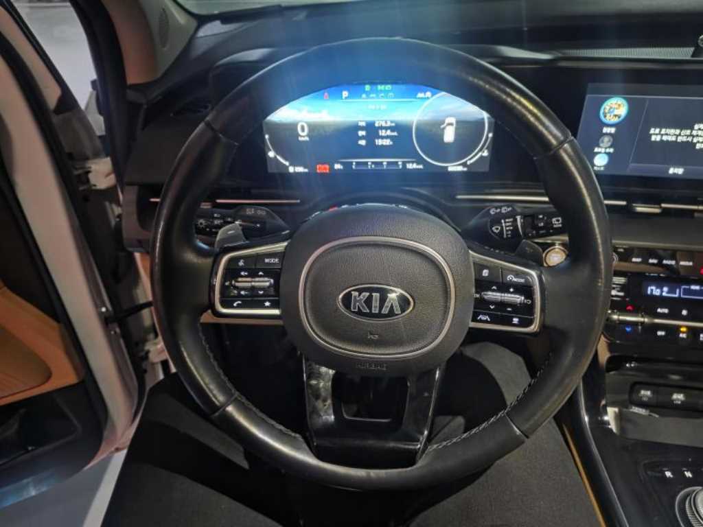 KIA Carnival - Vista 4