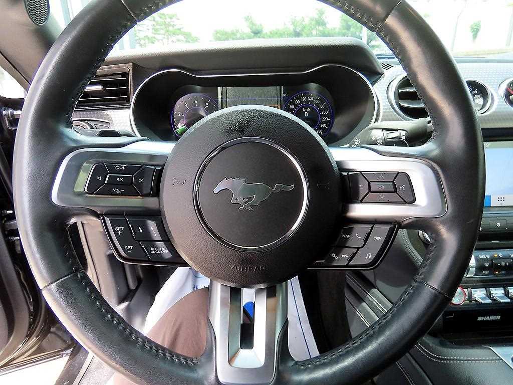 Ford Mustang - Vista 8