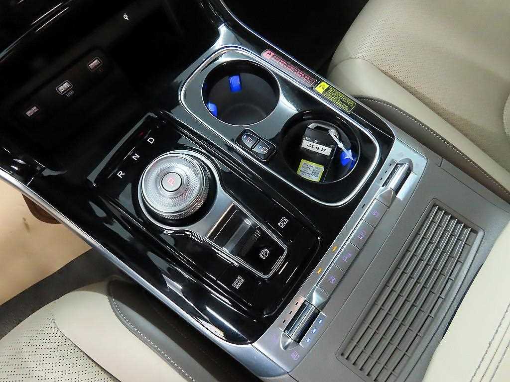 KIA Carnival - Vista 10