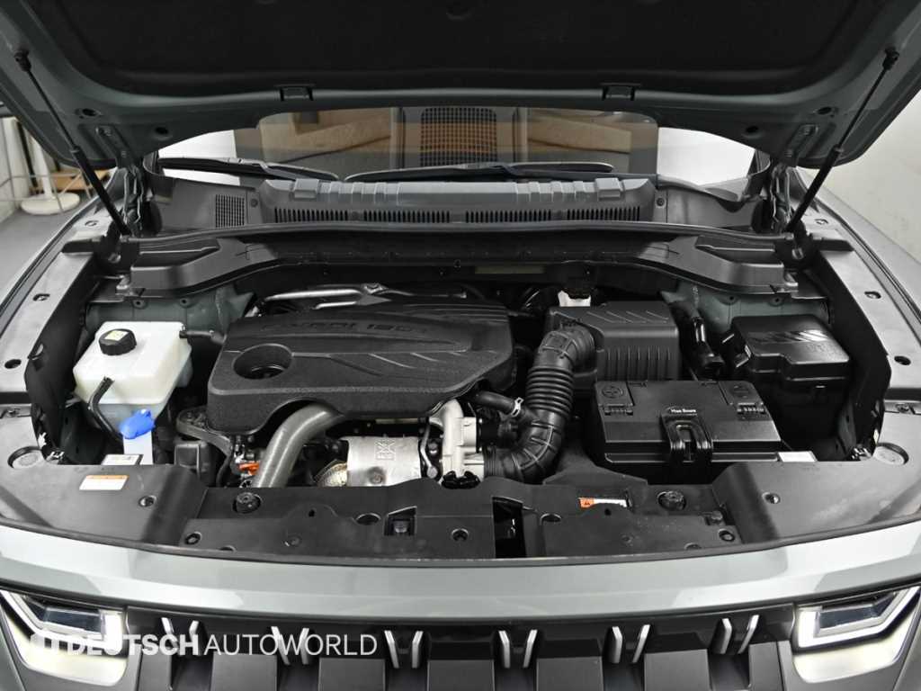 Ssangyong Torres - Vista 6