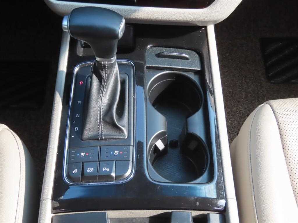 KIA Carnival - Vista 12