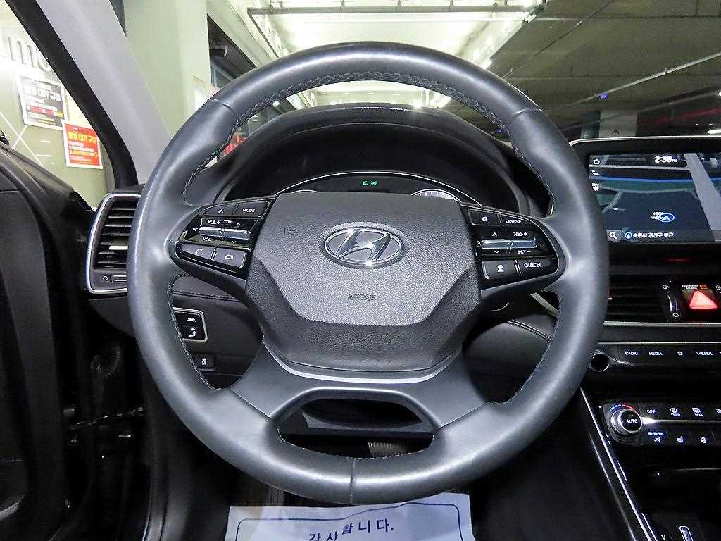 HYUNDAI Grandeur - Vista 8