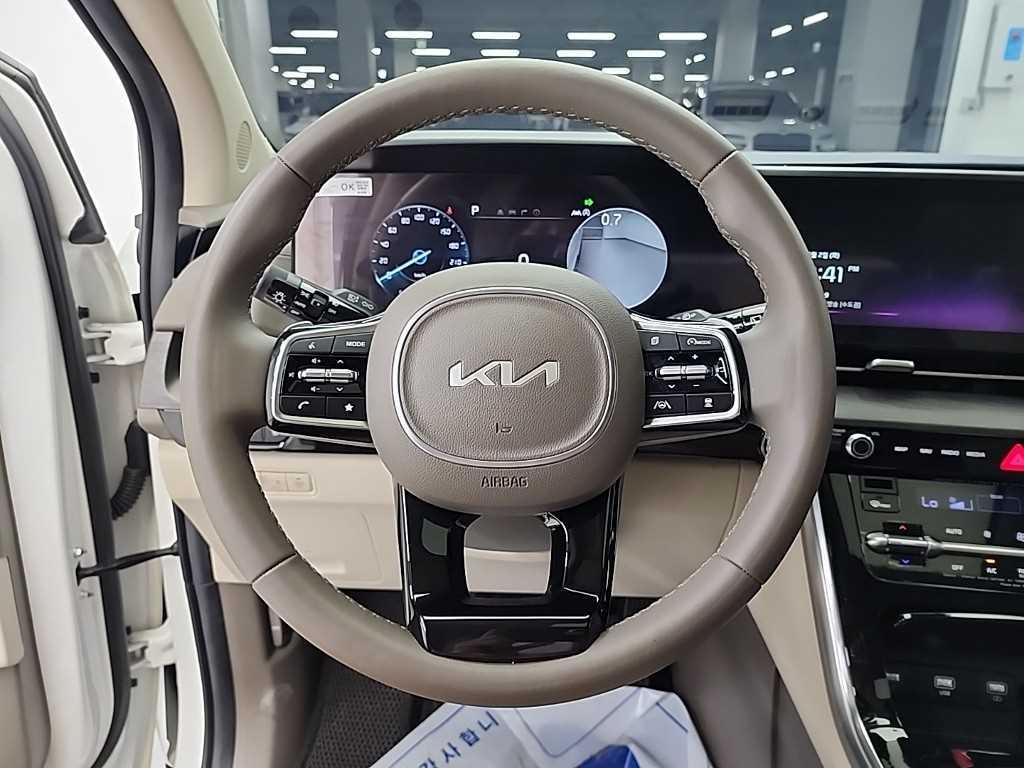 KIA Carnival - Vista 7