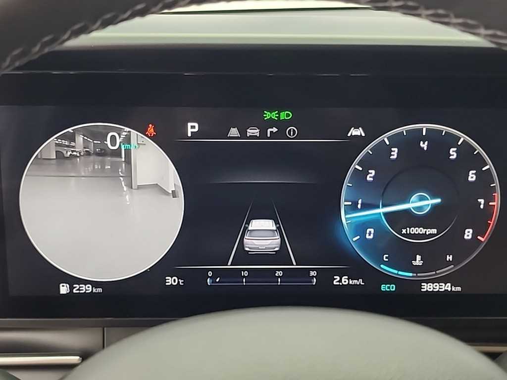 KIA Carnival - Vista 6
