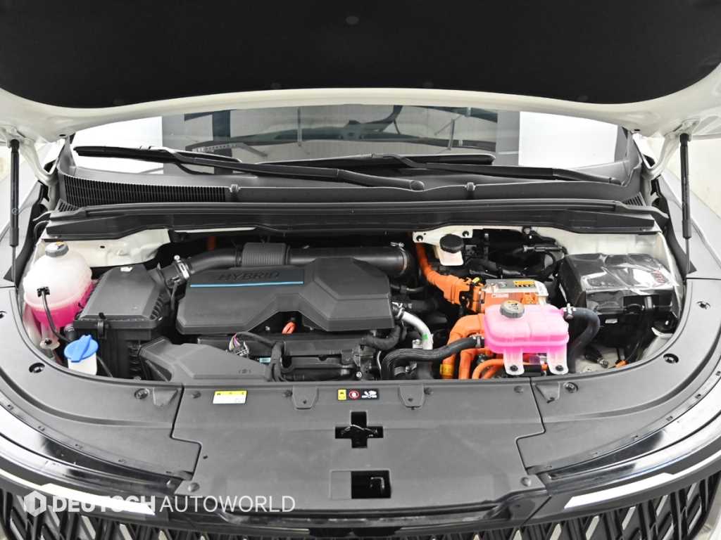 KIA Carnival - Vista 6