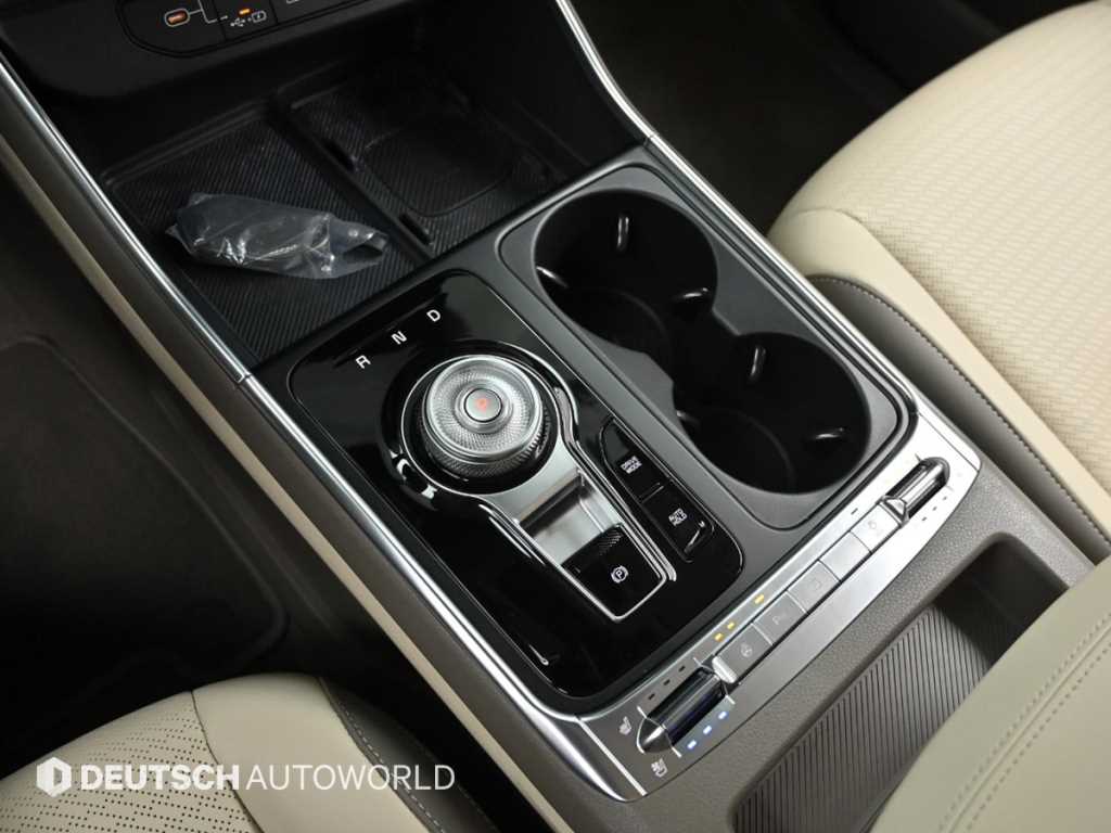 KIA Carnival - Vista 9