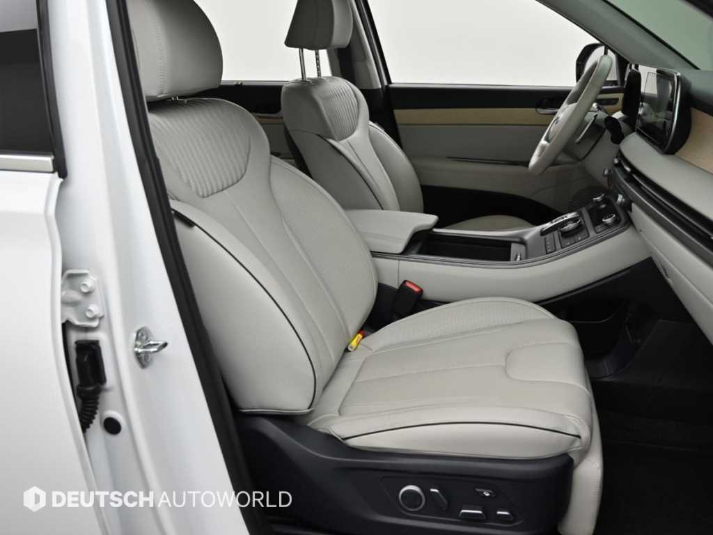 HYUNDAI Palisade - Vista 10