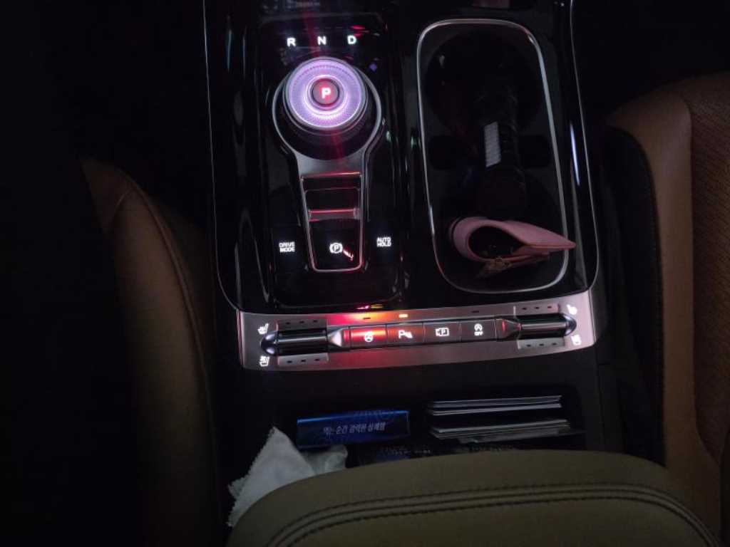 KIA Carnival - Vista 10