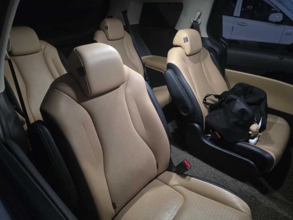 KIA Carnival - Vista 12