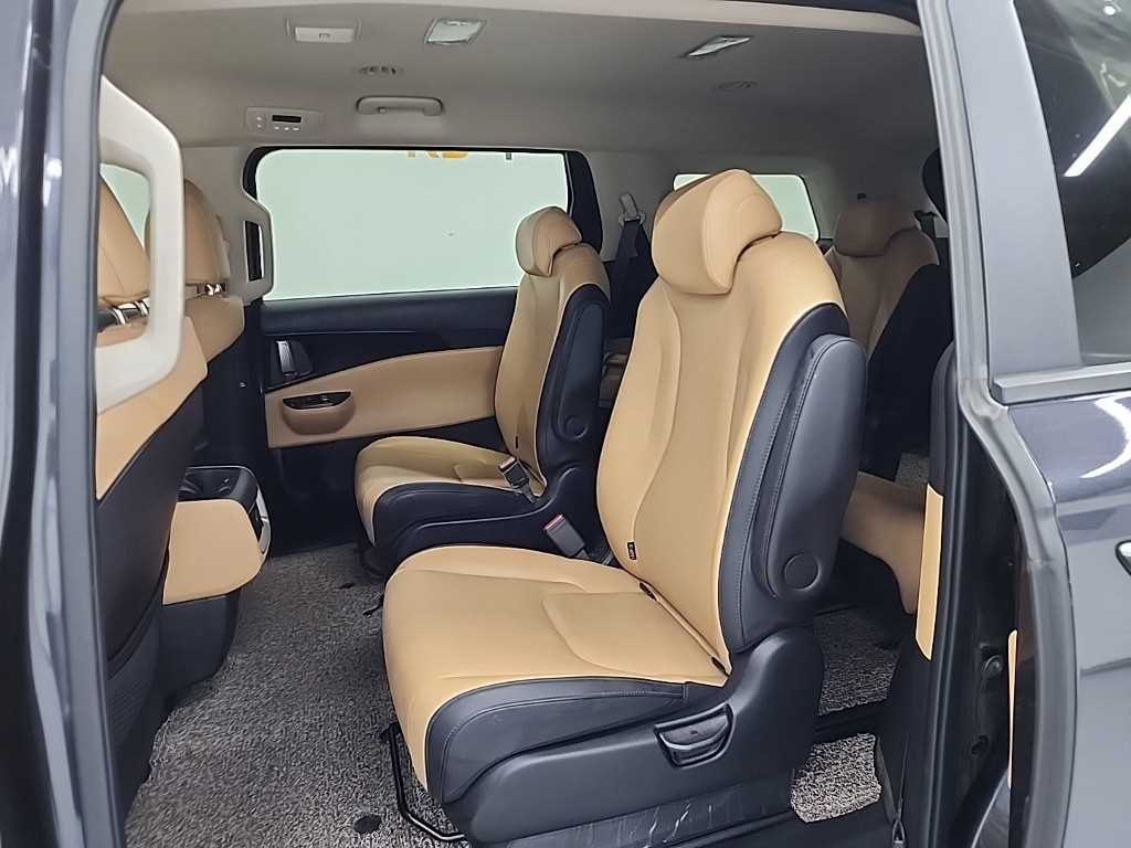 KIA Carnival - Vista 12