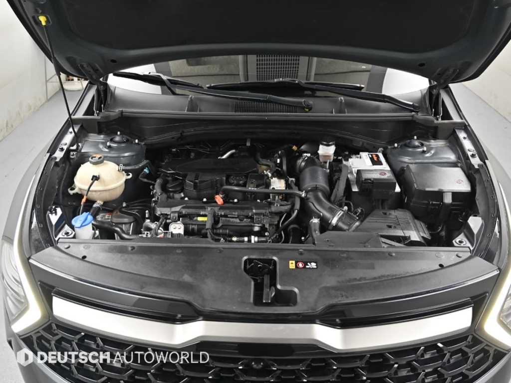 KIA Sportage - Vista 6