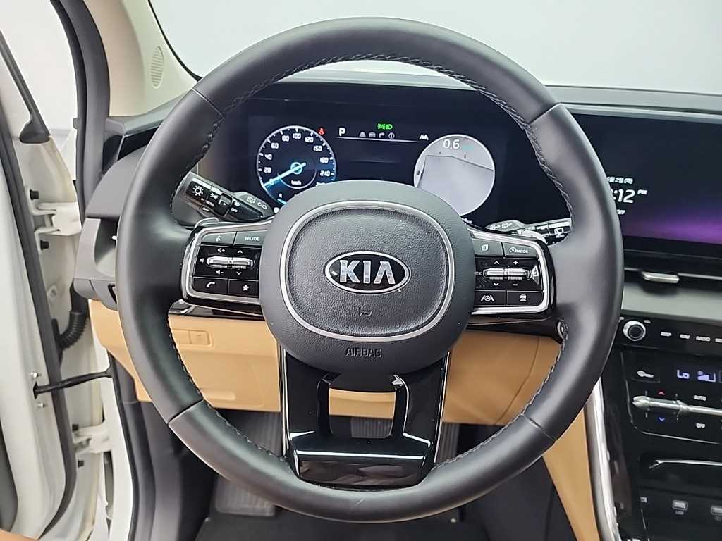 KIA Carnival - Vista 9