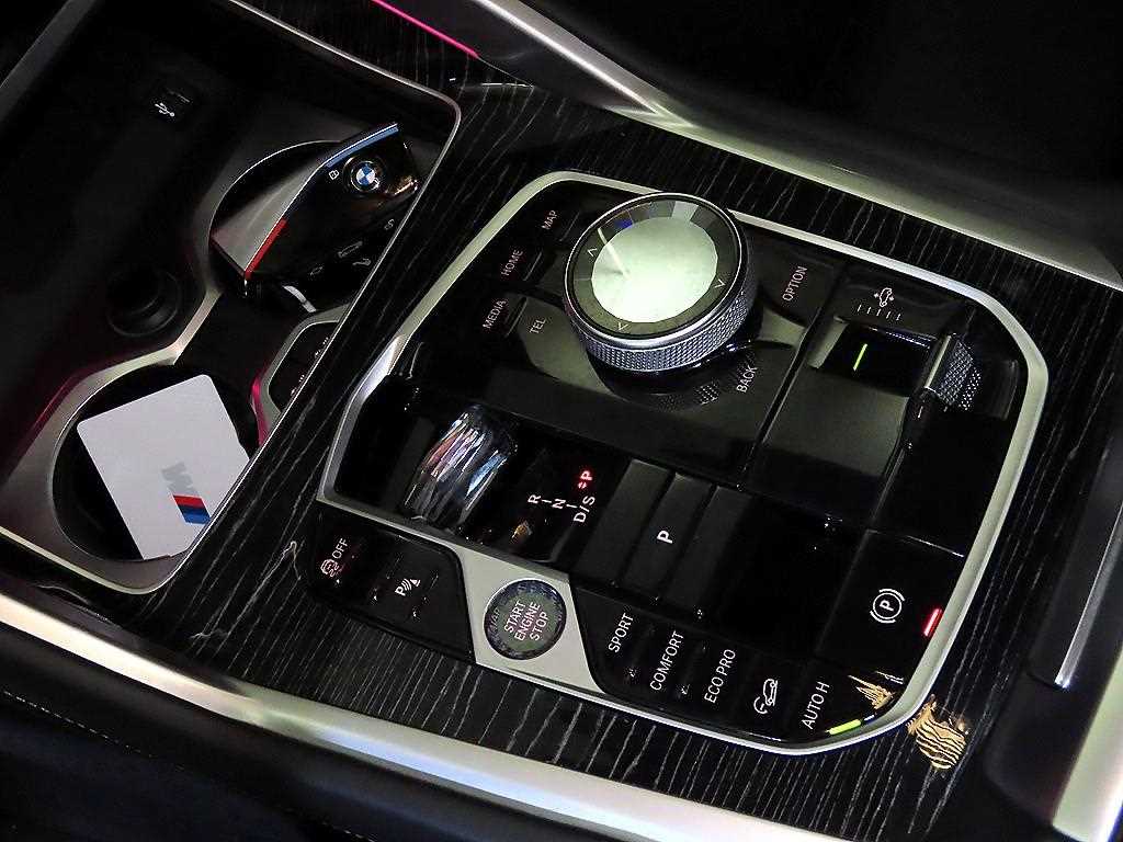 BMW X6 - Vista 12
