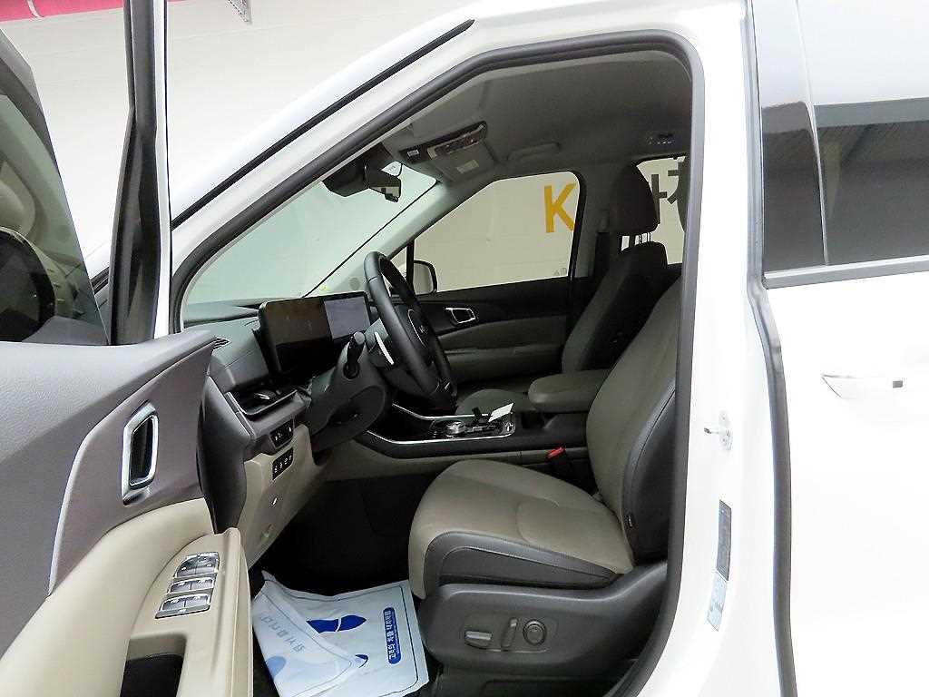 KIA Carnival - Vista 12