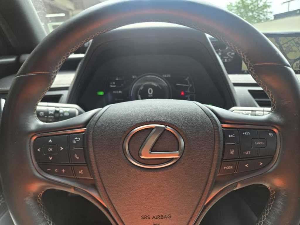 Lexus UX - Vista 9