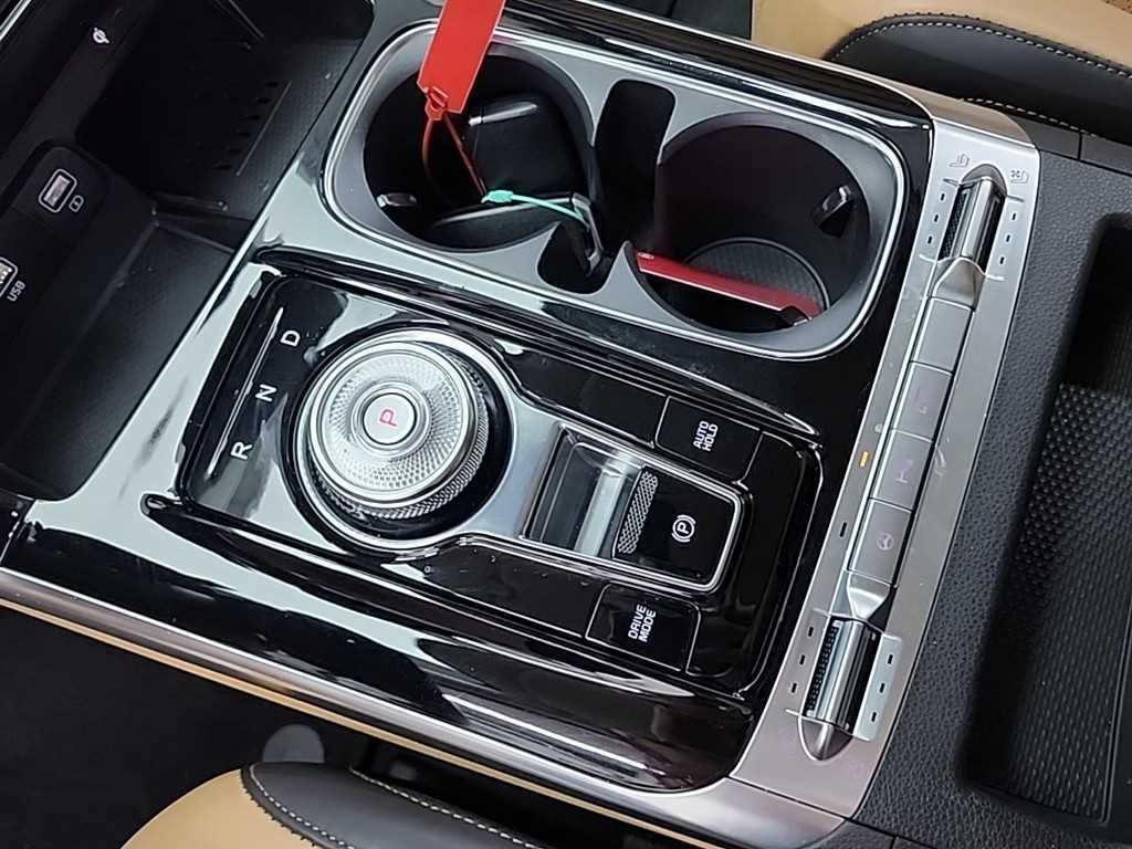 KIA Carnival - Vista 8