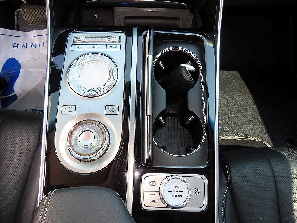 Genesis GV80 - Vista 10