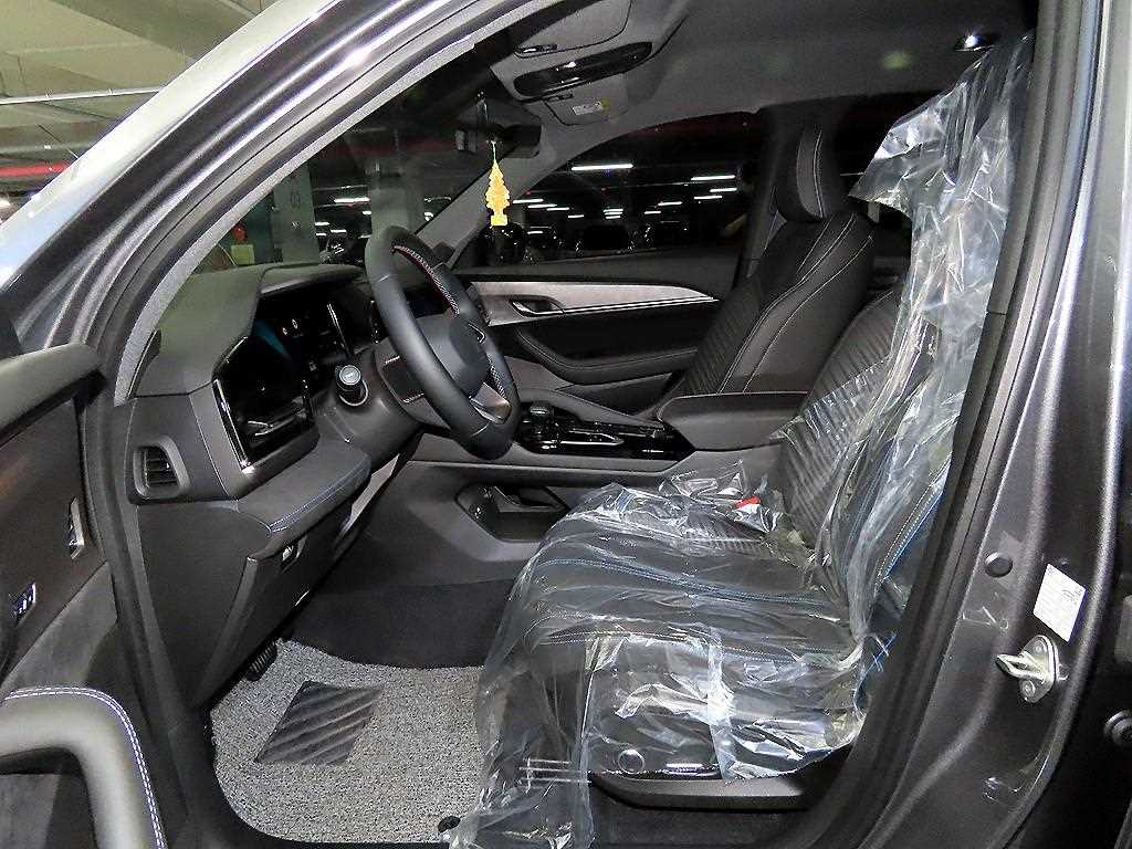 SAMSUNG Grand Koleos - Vista 6