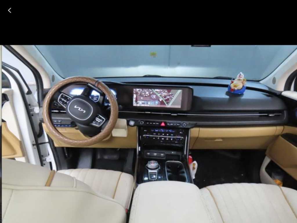 KIA Carnival - Vista 3