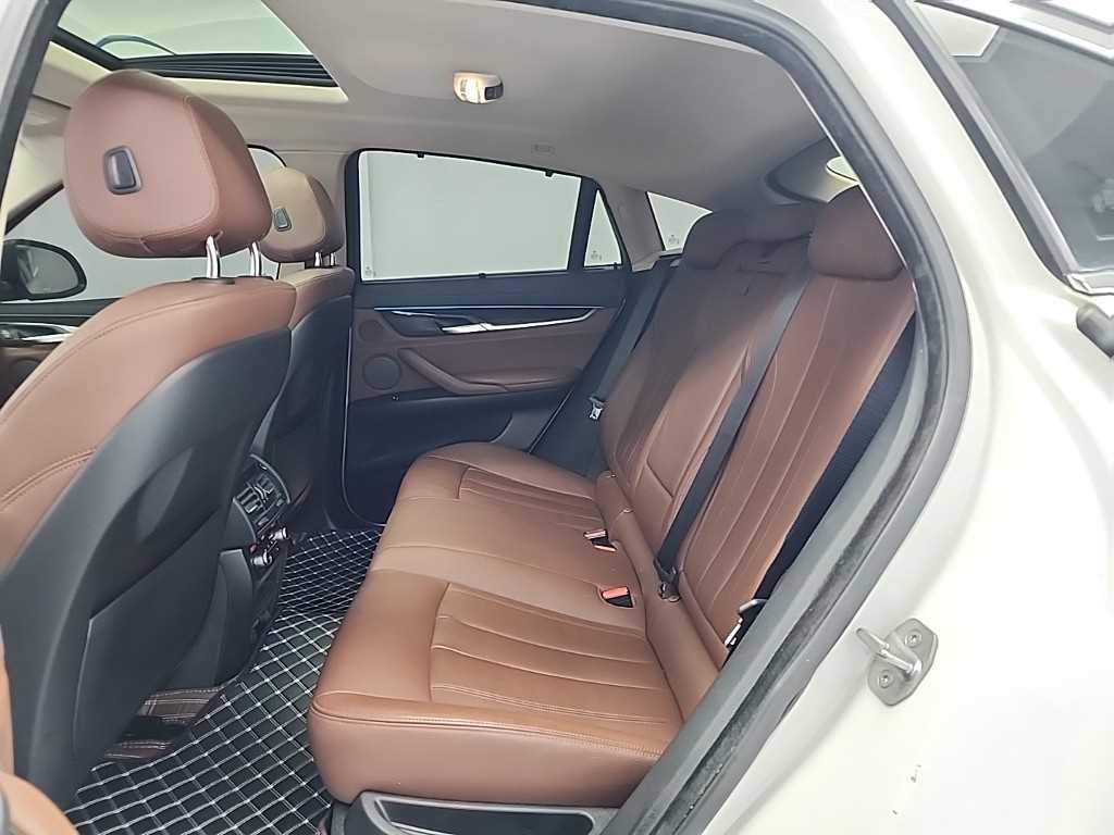 BMW X6 - Vista 12