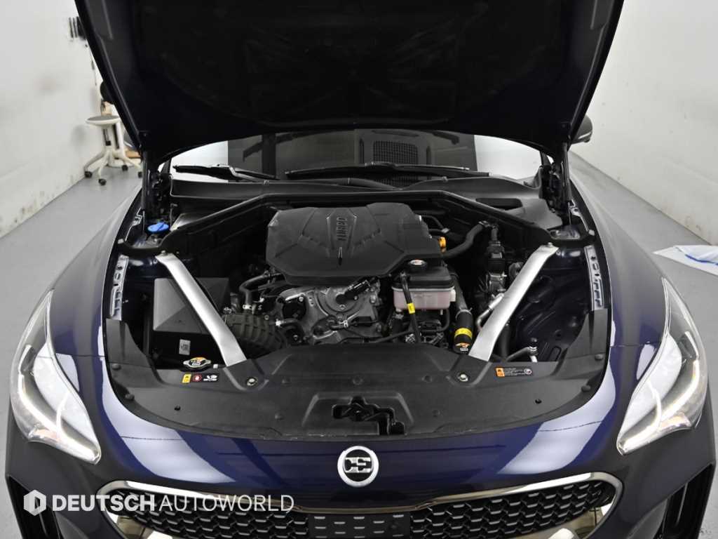 KIA Stinger - Vista 6