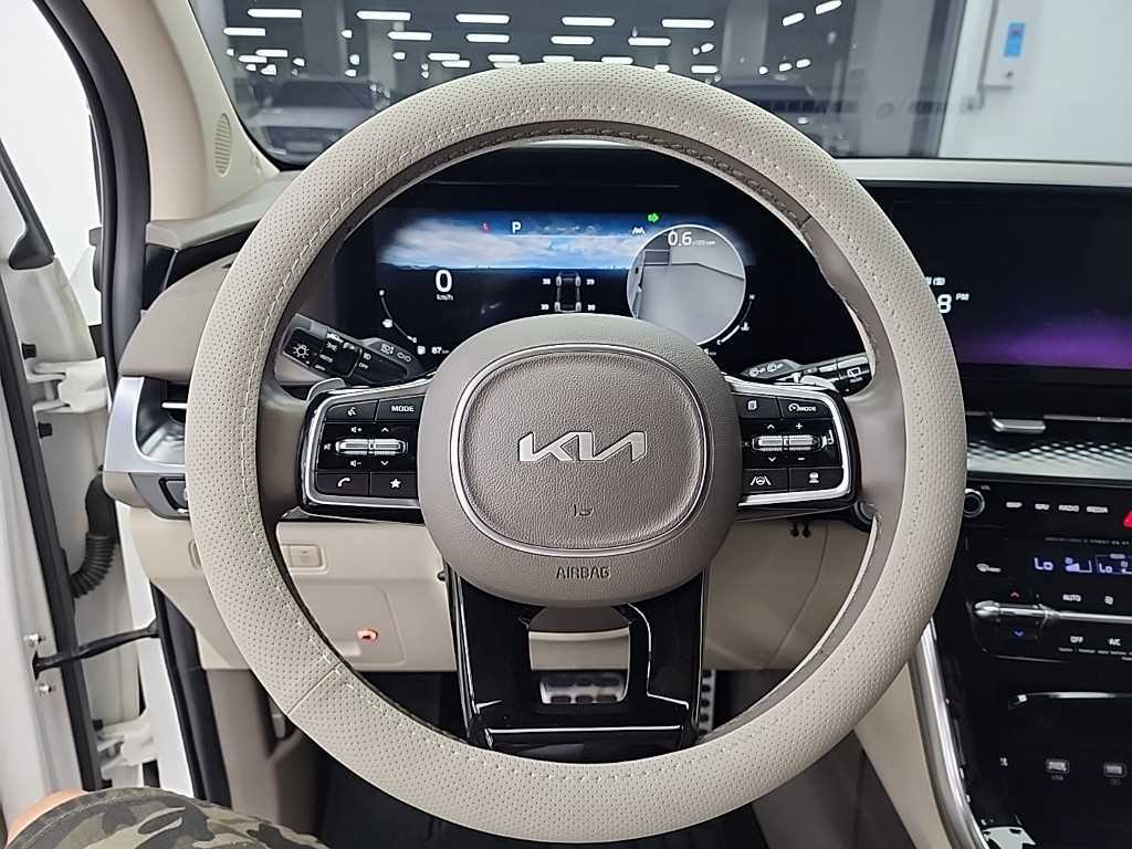 KIA Carnival - Vista 9