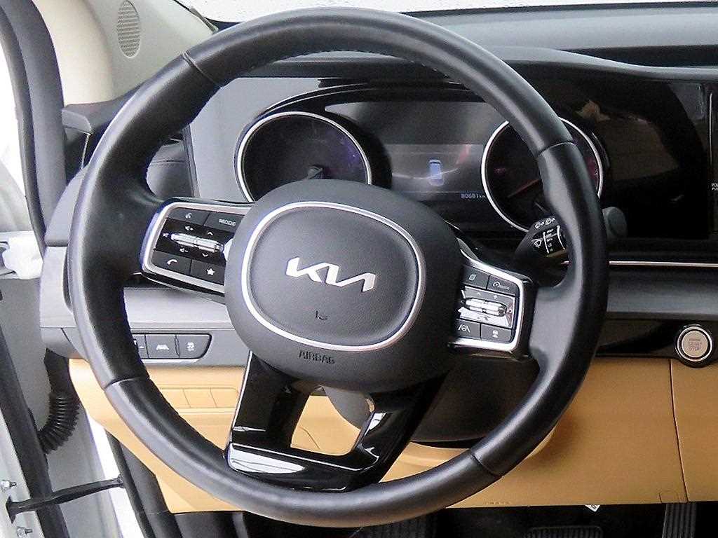 KIA Carnival - Vista 11