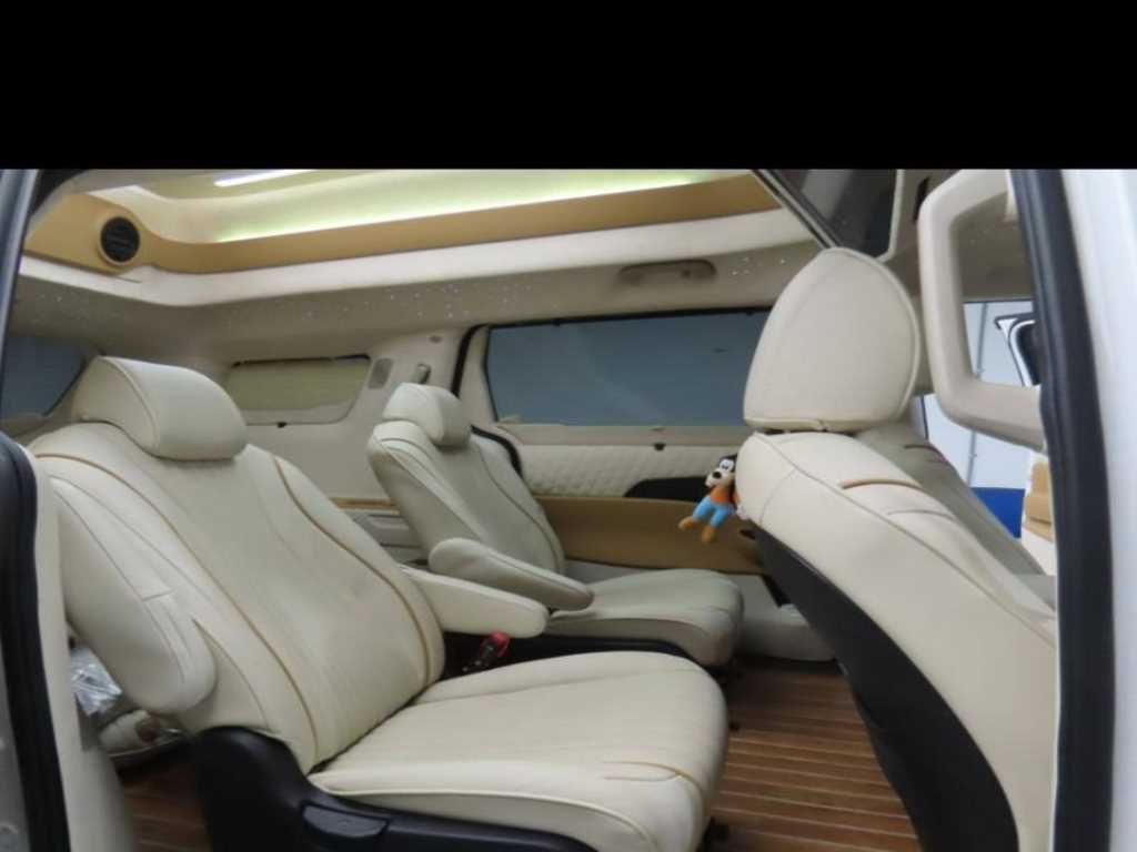 KIA Carnival - Vista 7