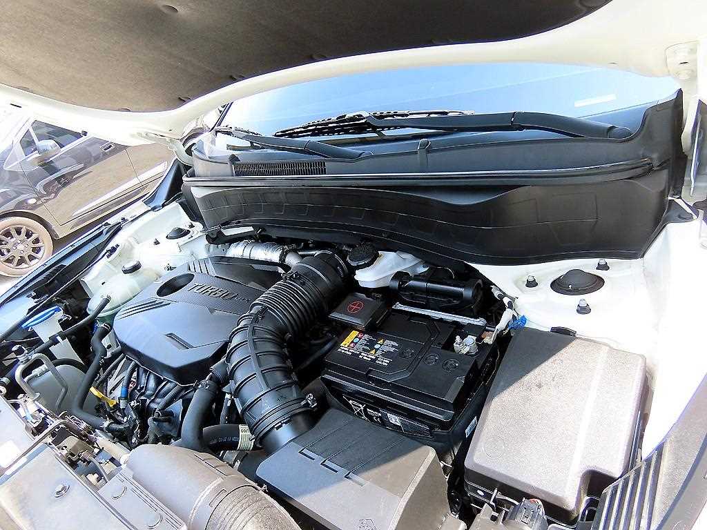 KIA Seltos 2020 Blanco - Importación desde Corea - HF Imports Iquique - Foto 19