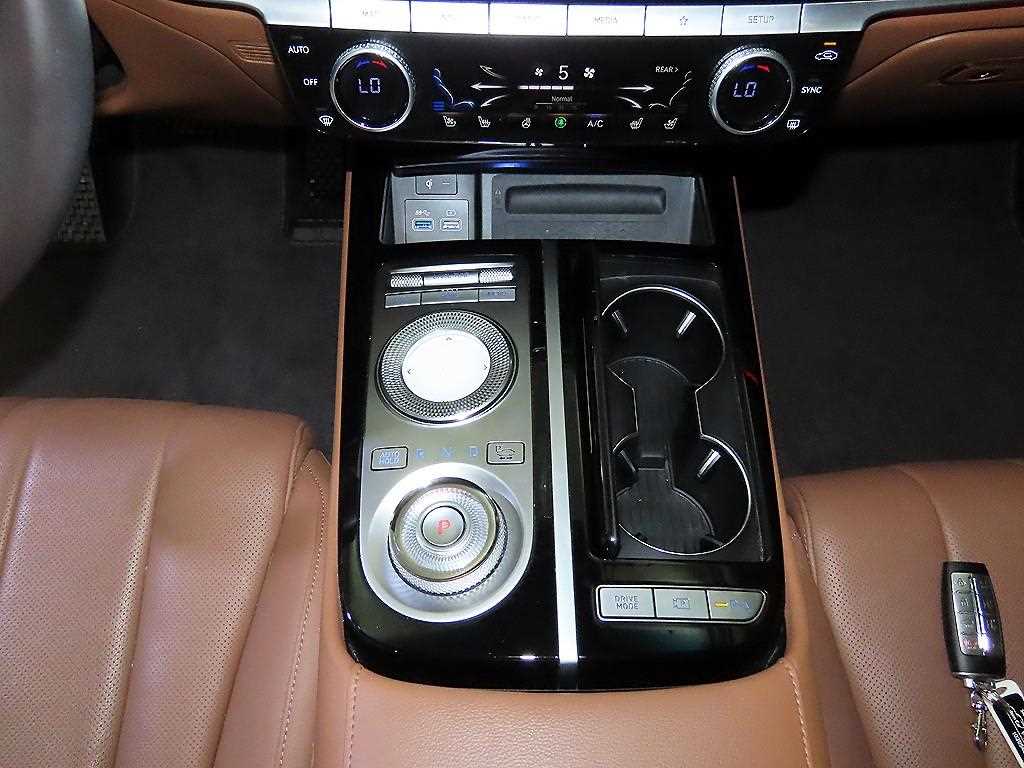 Genesis G80 - Vista 12