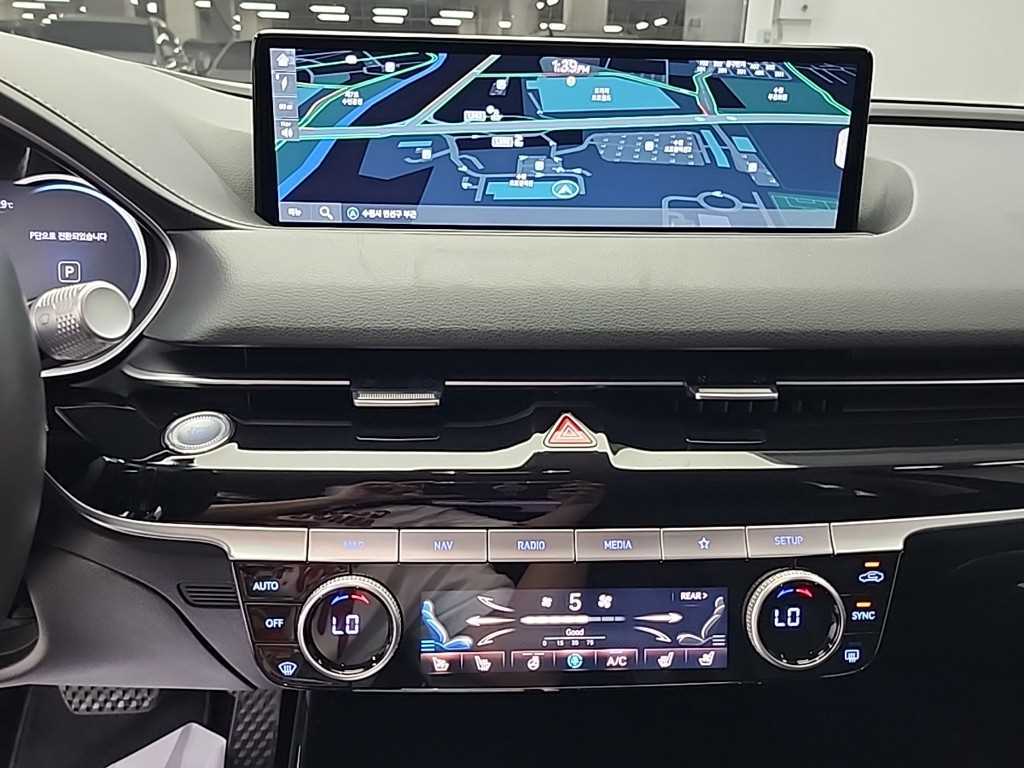 Genesis G80 - Vista 10