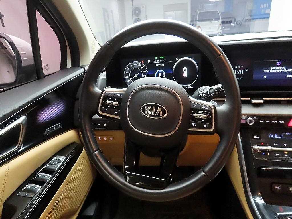 KIA Carnival - Vista 7