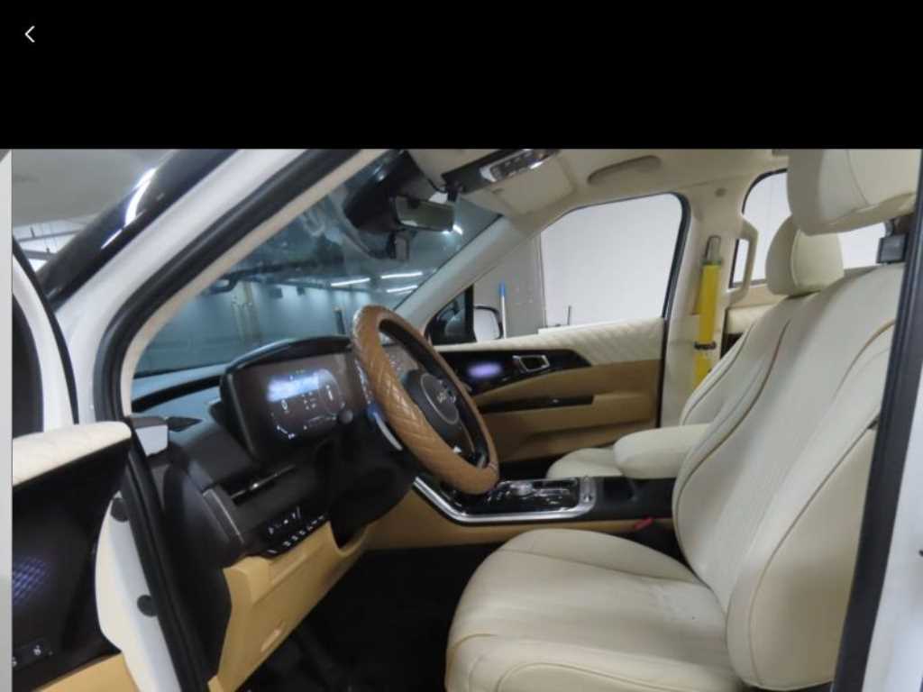 KIA Carnival - Vista 2