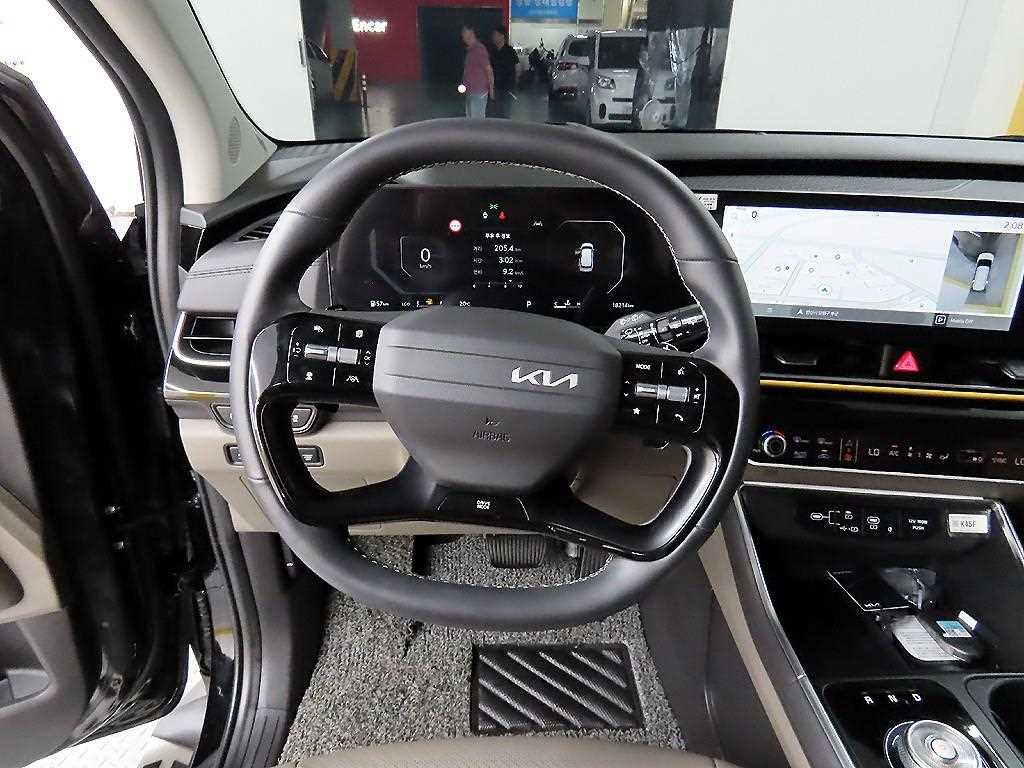 KIA Carnival - Vista 9