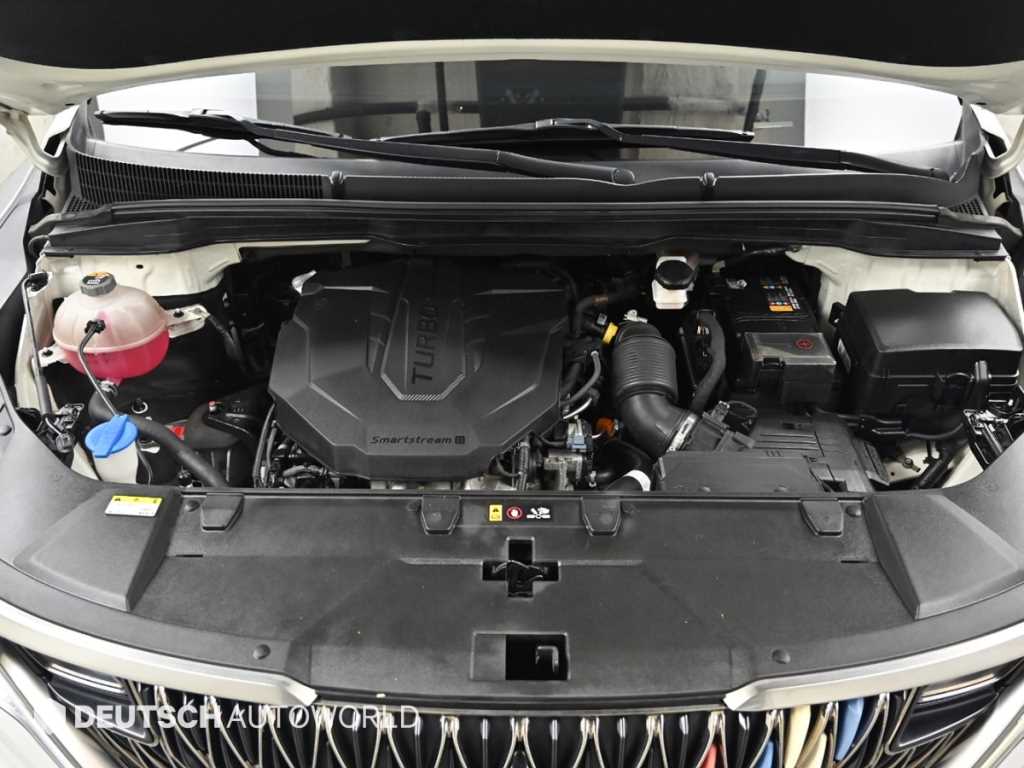 KIA Carnival - Vista 6