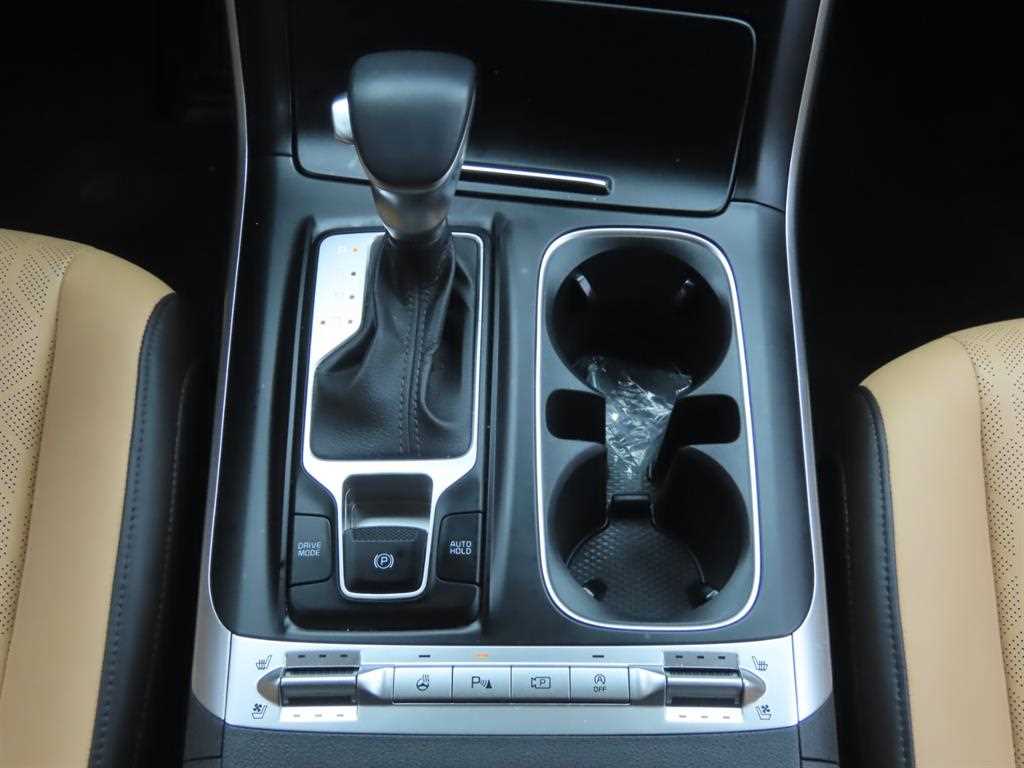 KIA Carnival - Vista 12