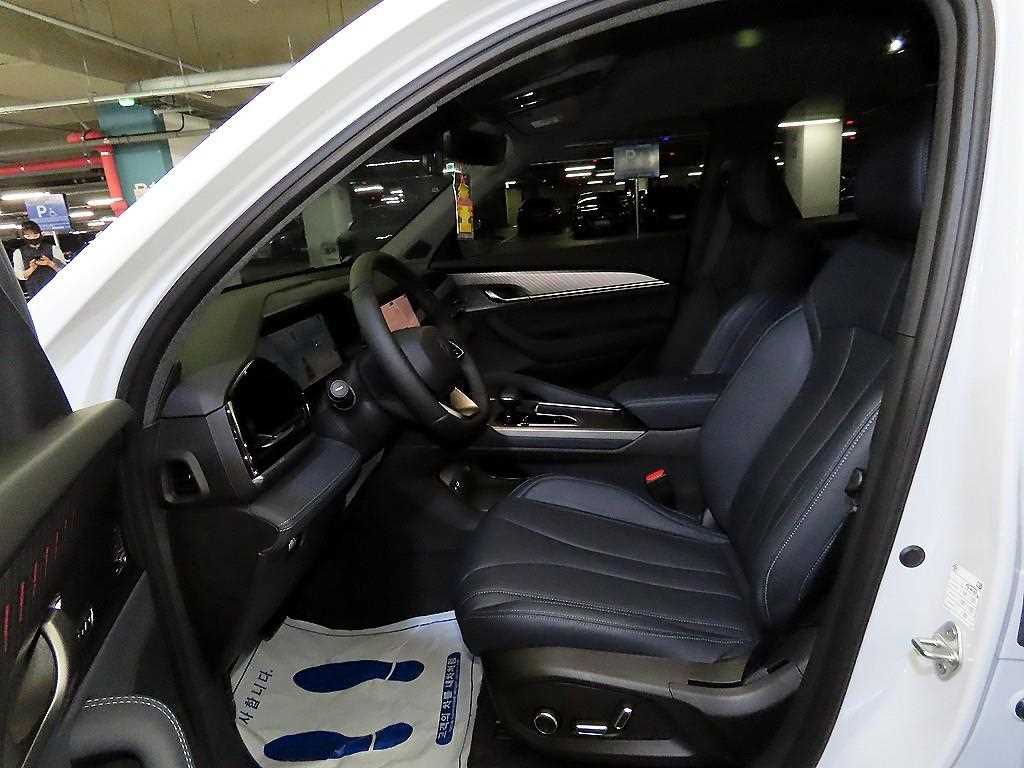 SAMSUNG Grand Koleos - Vista 6