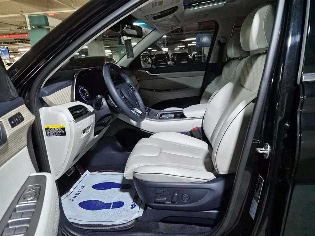 HYUNDAI Palisade - Vista 6