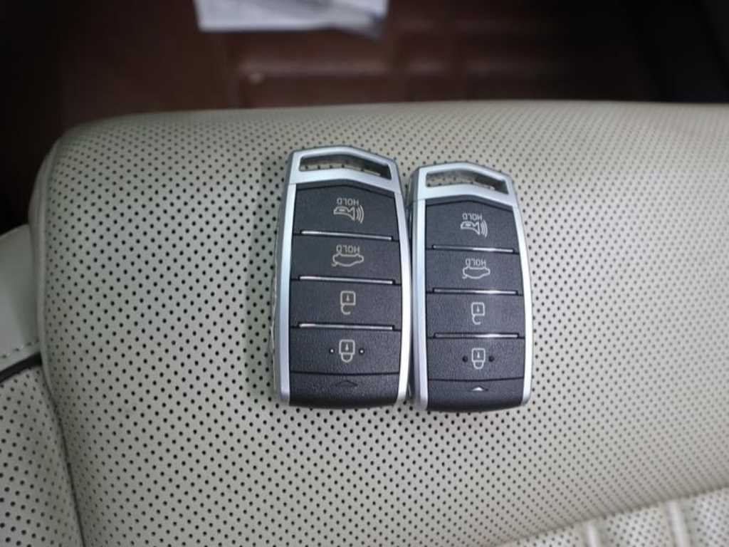 Genesis EQ900 2016 Plateado - Importación desde Corea - HF Imports Iquique - Foto 18