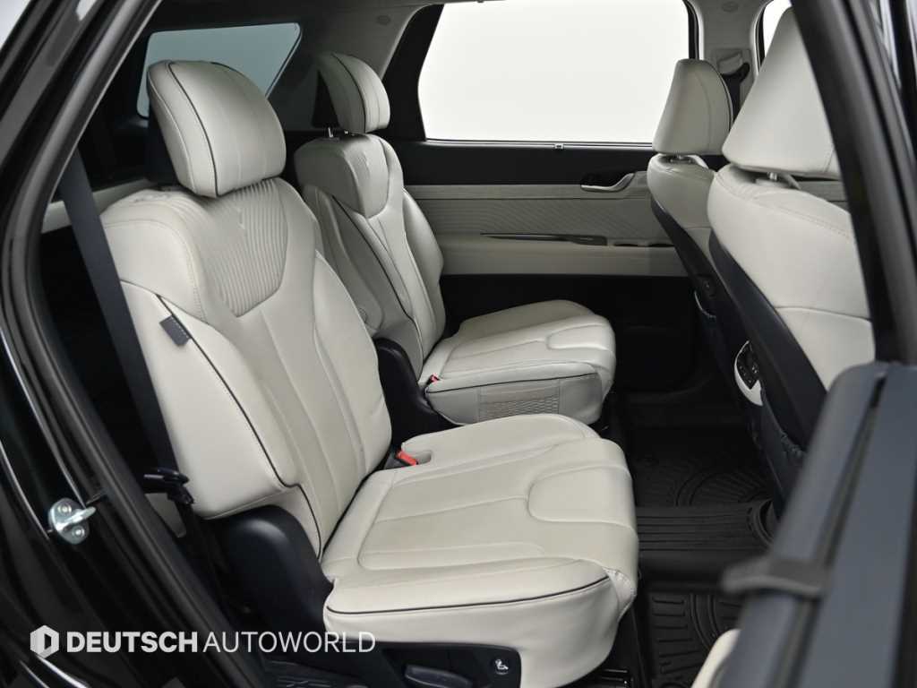 HYUNDAI Palisade - Vista 12