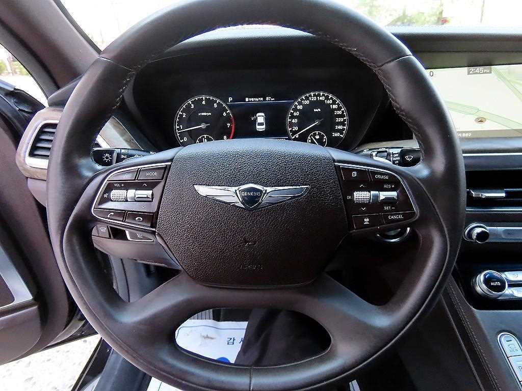 Genesis G90 - Vista 8