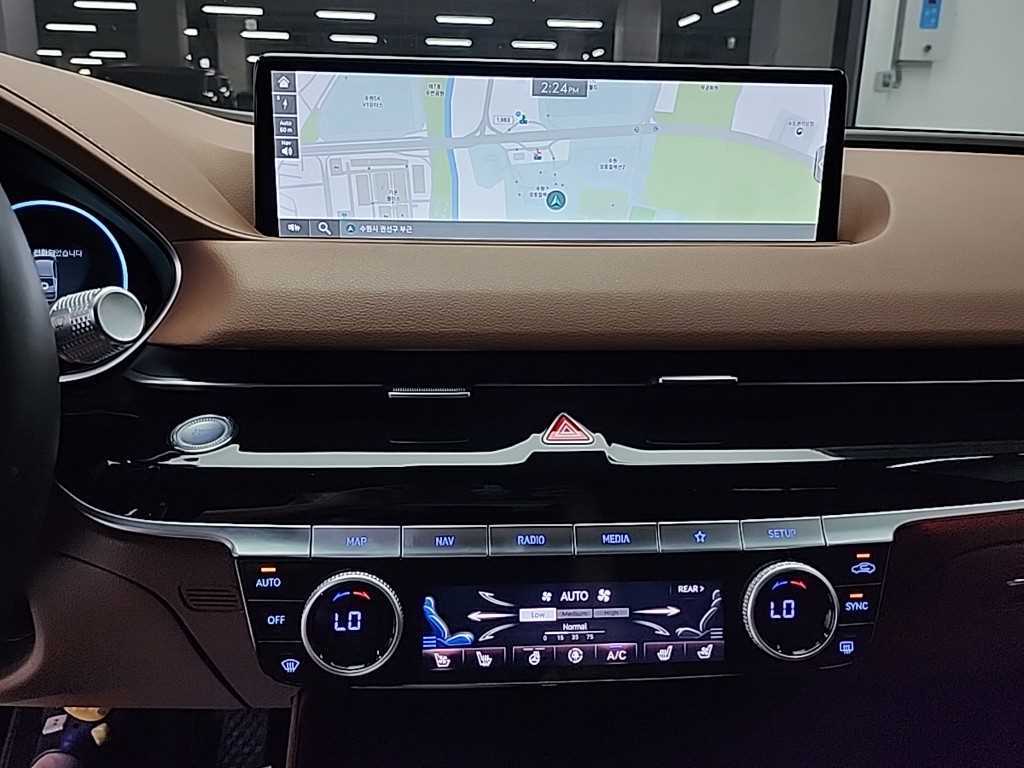Genesis G80 - Vista 10